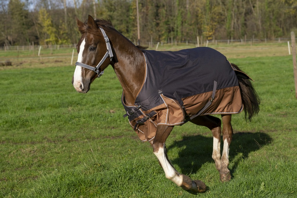 EQUITHÈME TYREX 600D "Aisance" Decke, 300g Füllung, Pferdedecke, grau/braun, Weidedecke