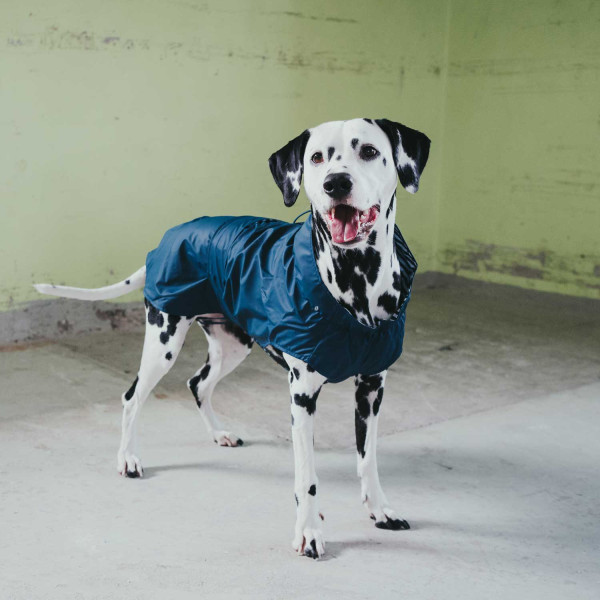 Hunter Hunde-Regenmantel Milford