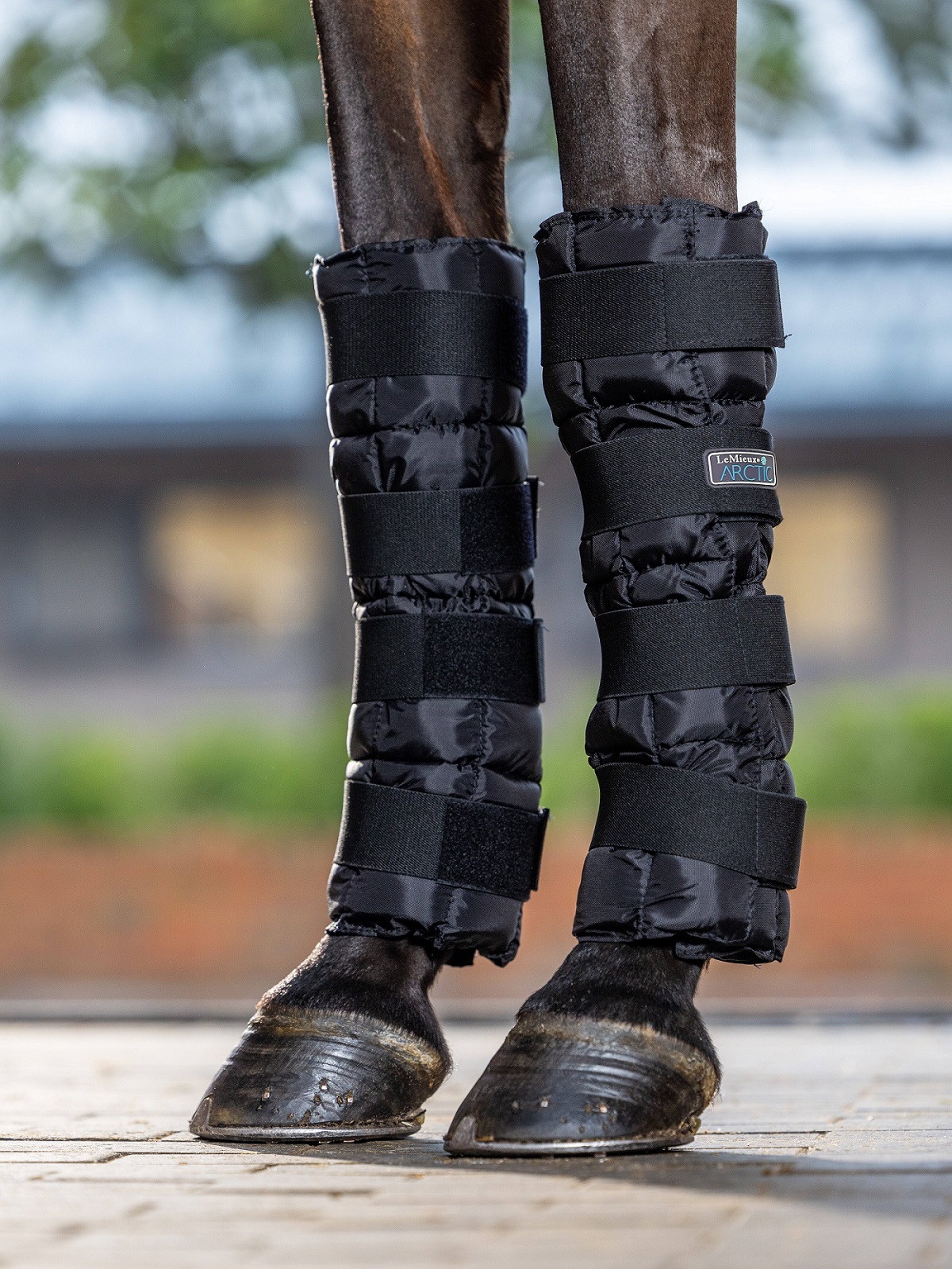 LeMieux Arctic Ice Boot, Kühlgamaschen, Einheitsgröße