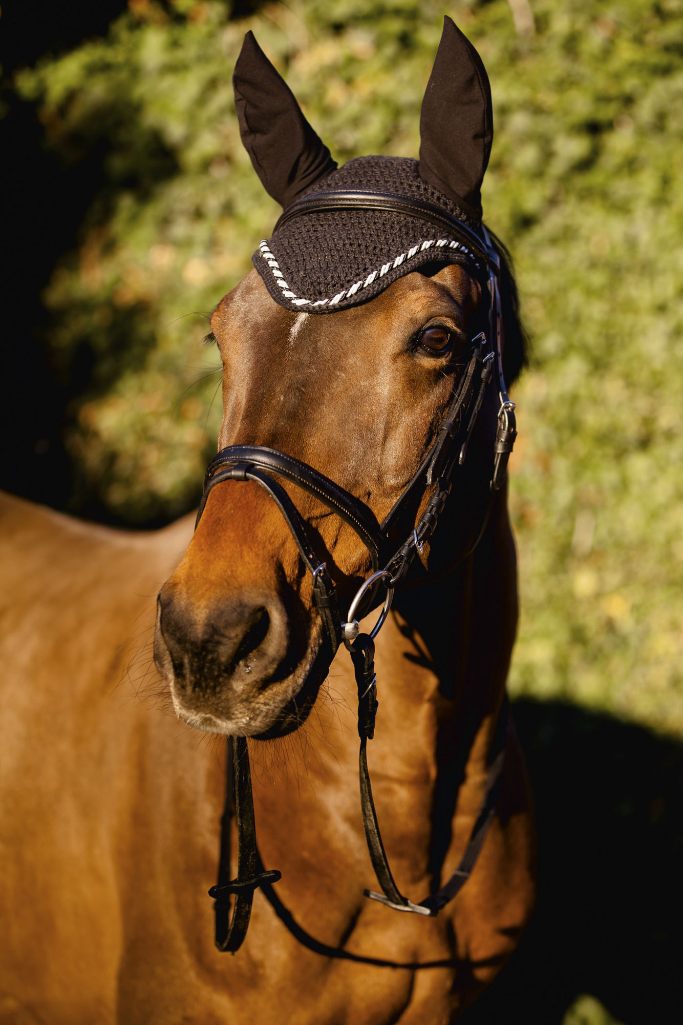 Covalliero Fliegenhaube Classic, Full
