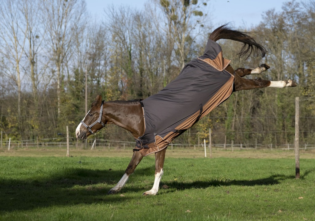 EQUITHÈME TYREX 600D "Aisance" Decke, 300g Füllung, Pferdedecke, grau/braun, Weidedecke
