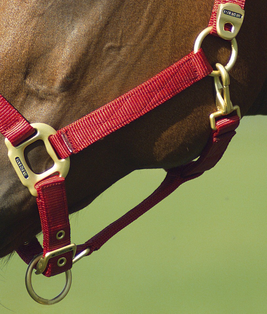 EQUITHÈME Nylonhalfter