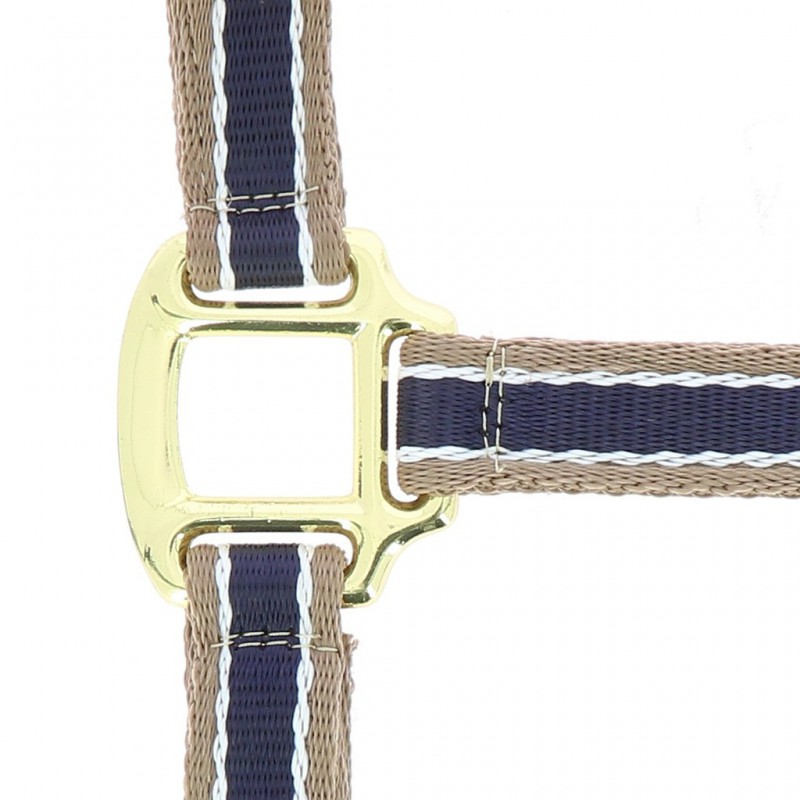 EQUITHÈME "Polyfun" Halfter