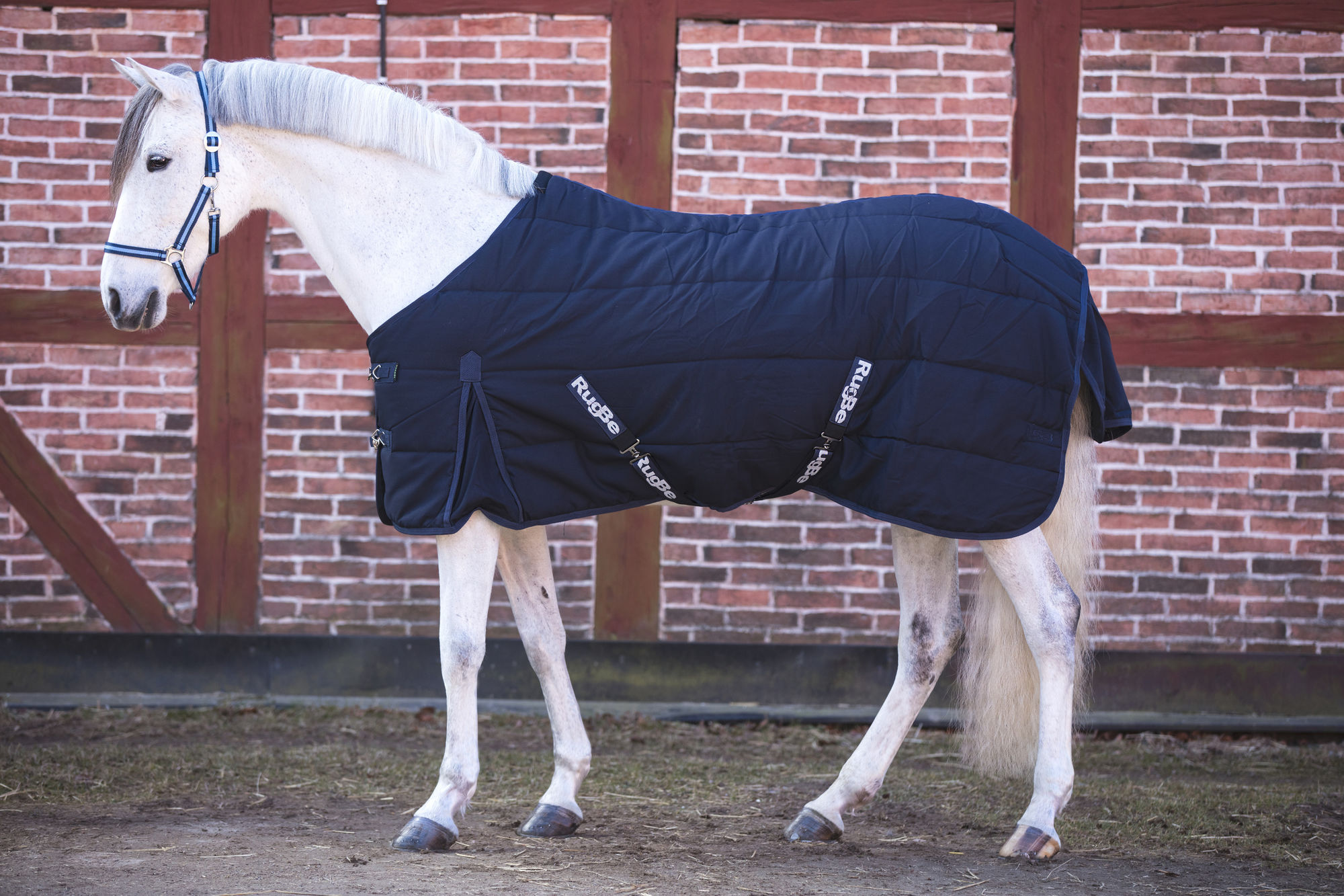 Covalliero Stalldecke RugBe, blau