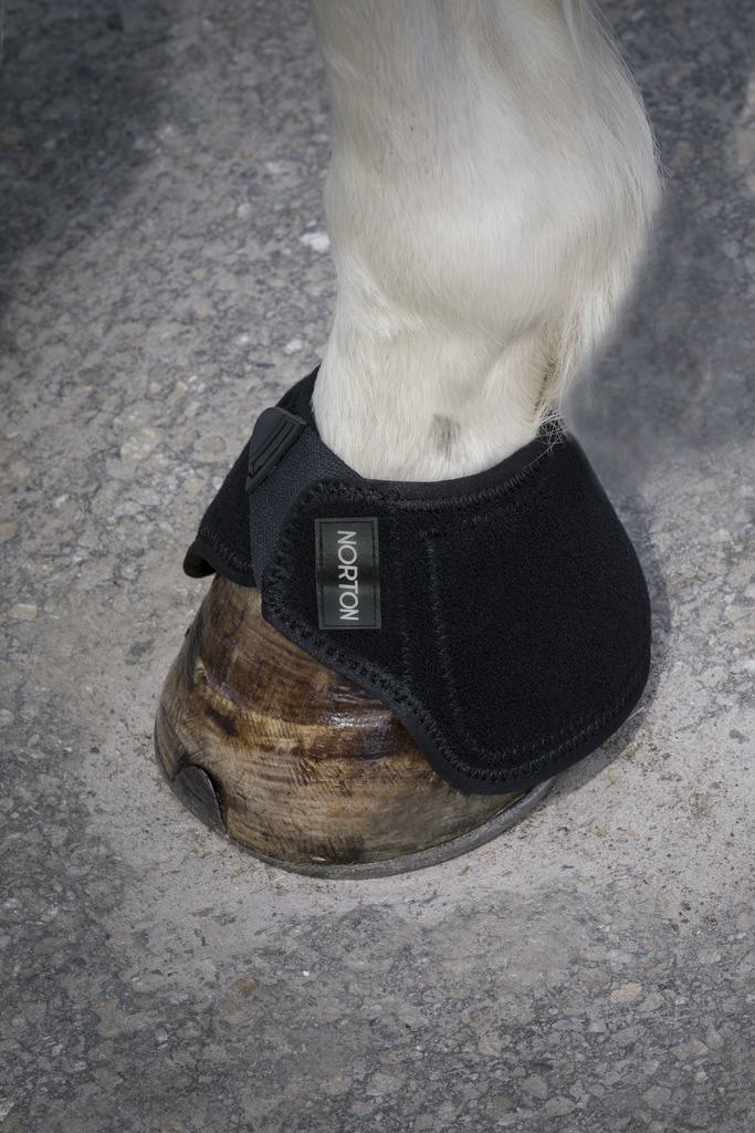 NORTON "Découpé", ausgeschnittene Neopren Springglocken, schwarz