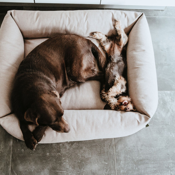 Hunter Hundesofa Inari