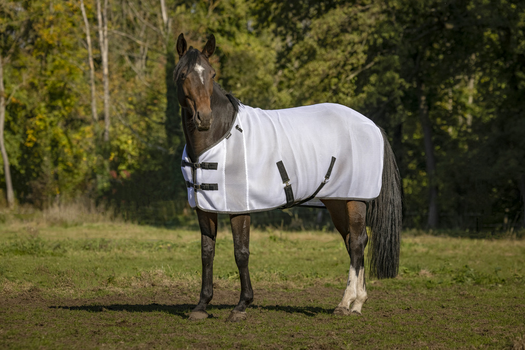 EQUITHÈME "Mesh" Decke, weiß, Fliegendecke