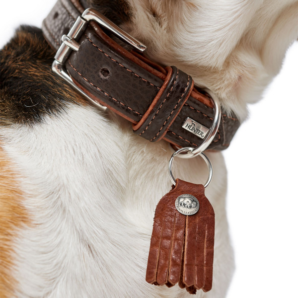 Hunter Halsband Cody