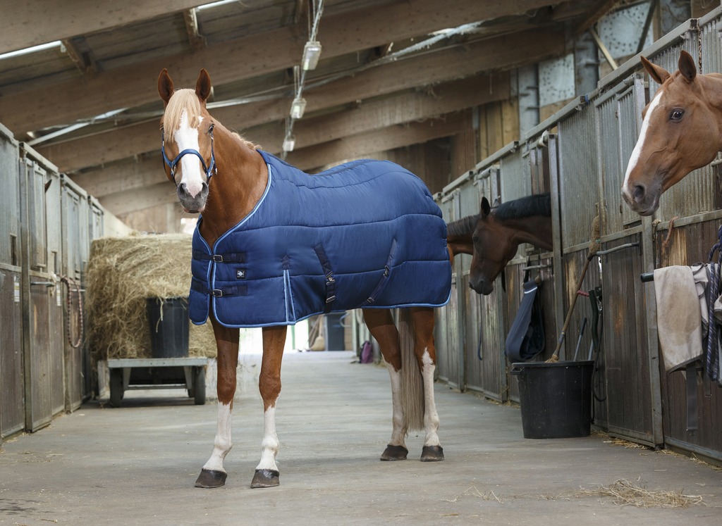 RIDING WORLD, Stalldecke, Pferdedecke, marineblau/hellblau