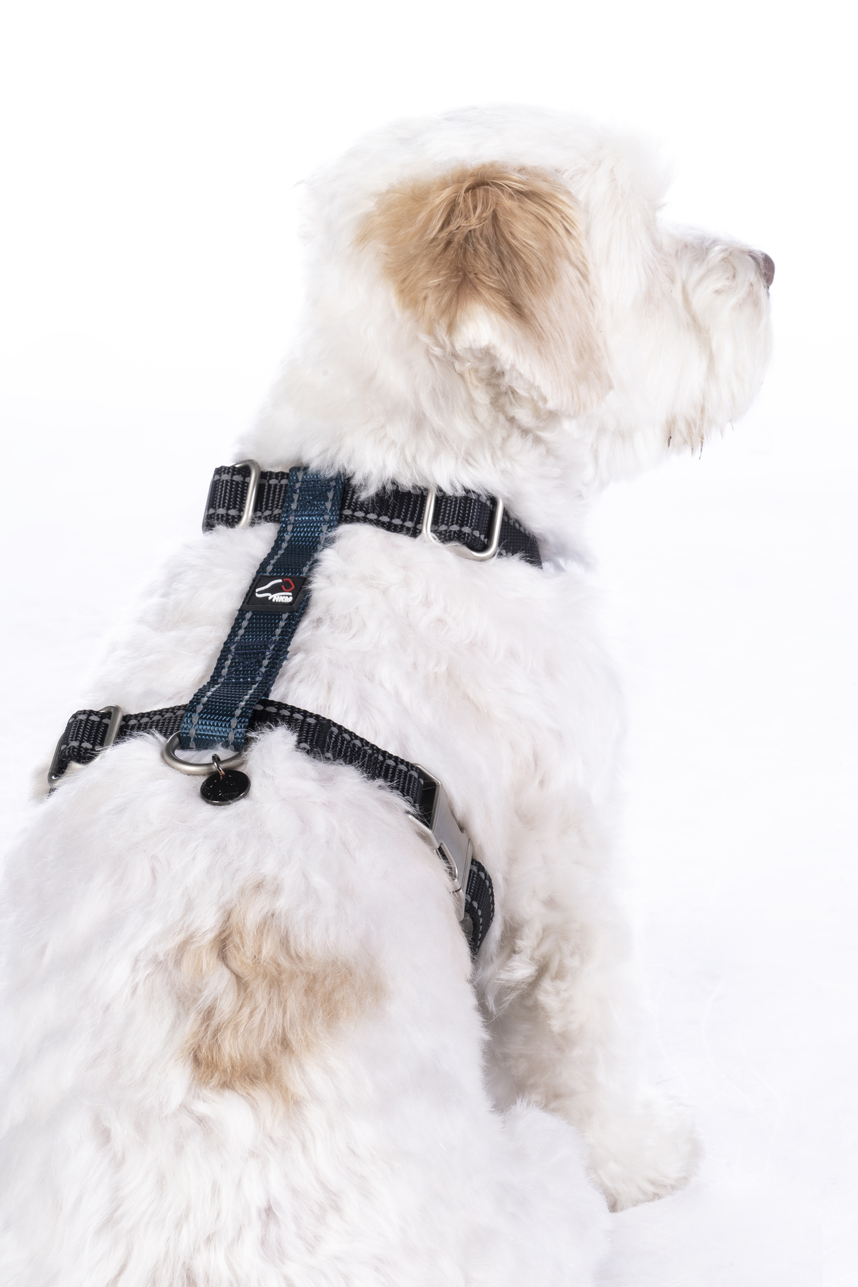HKM Hundegeschirr "Anam Cara Basic", Nylon