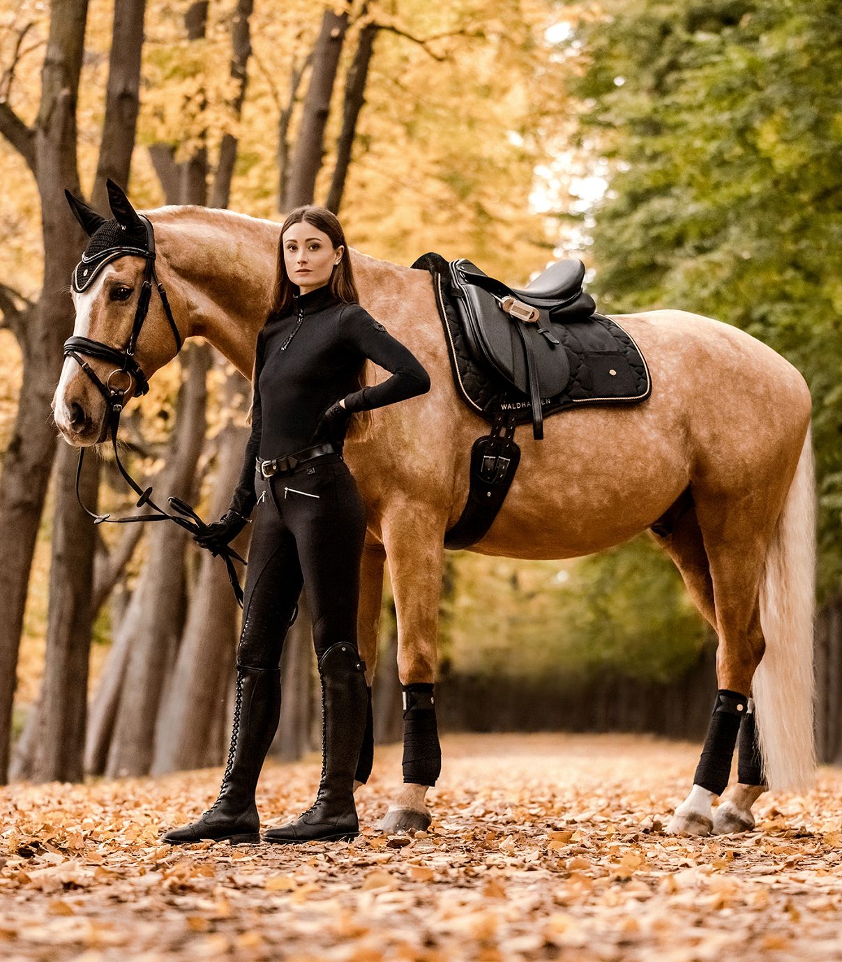Waldhausen Fleecebandagen "Modern Rosé"nachtblau,Sale