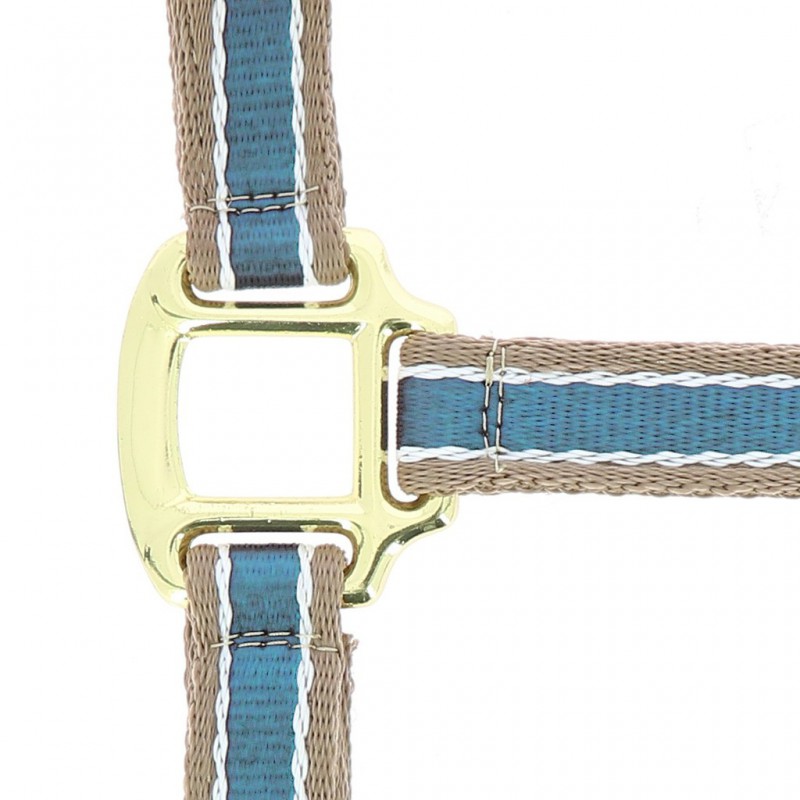EQUITHÈME "Polyfun" Halfter