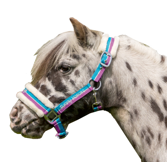 Halfter "Funny Horses", violett/aqua/silber