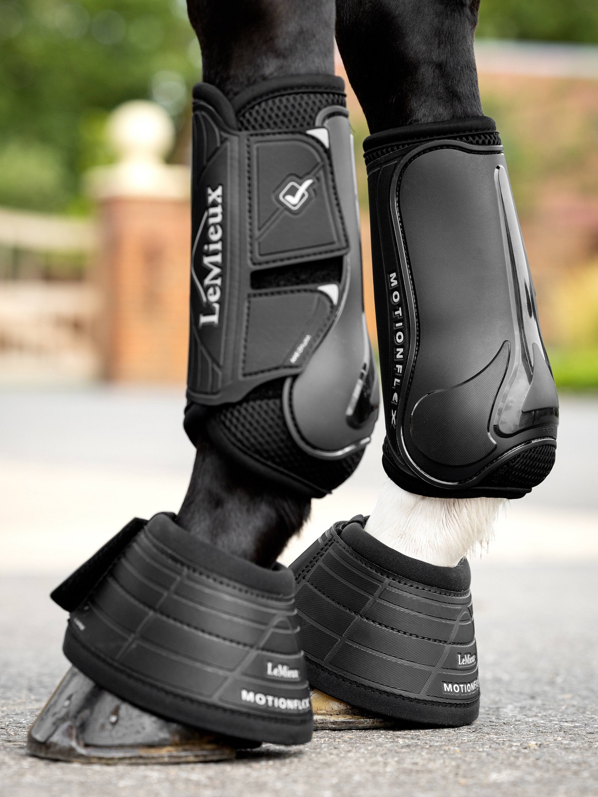 LeMieux Motionflex Dressage Boot, Dressurgamaschen, Gamaschen