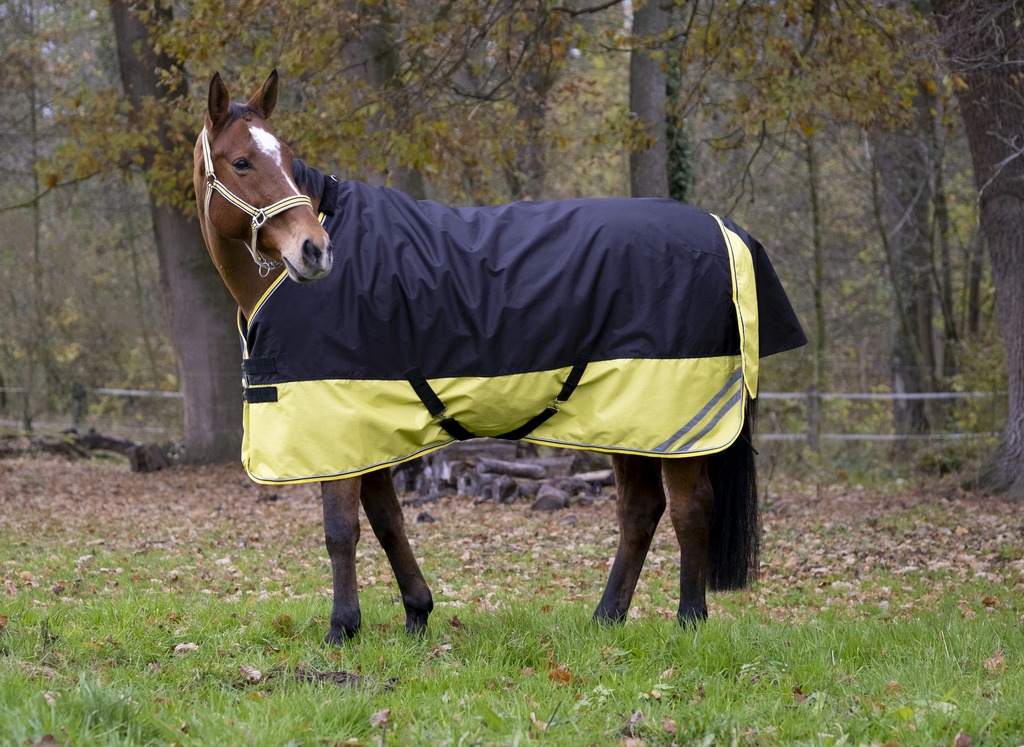 EQUITHÈME TYREX 600D "Reflective" Decke, 300g Füllung, Pferdedecke, schwarz/gelb, Weidedecke