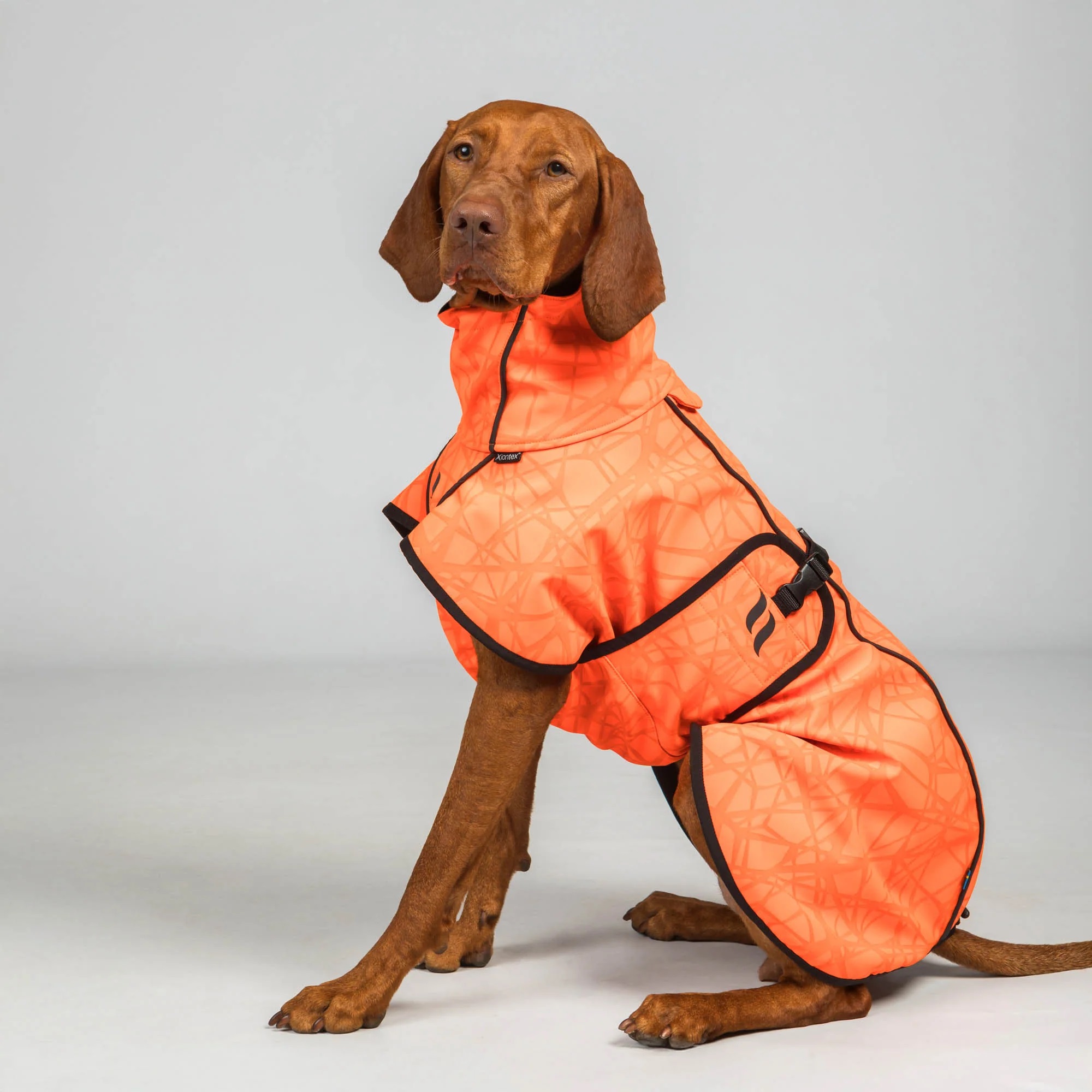 Back on Track Hundemantel Bark, orange, Allwetter Mantel