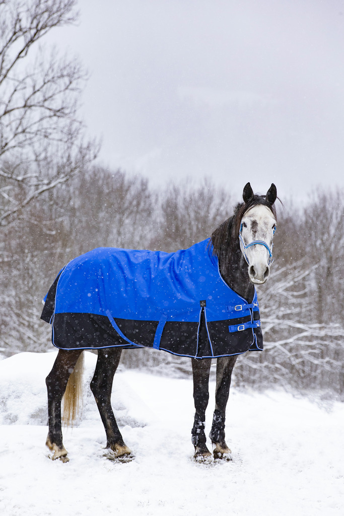 EQUITHÈME TYREX 1200D "Aisance" High Neck Decke, 0g Füllung, Pferdedecke, blau/schwarz, Weidedecke