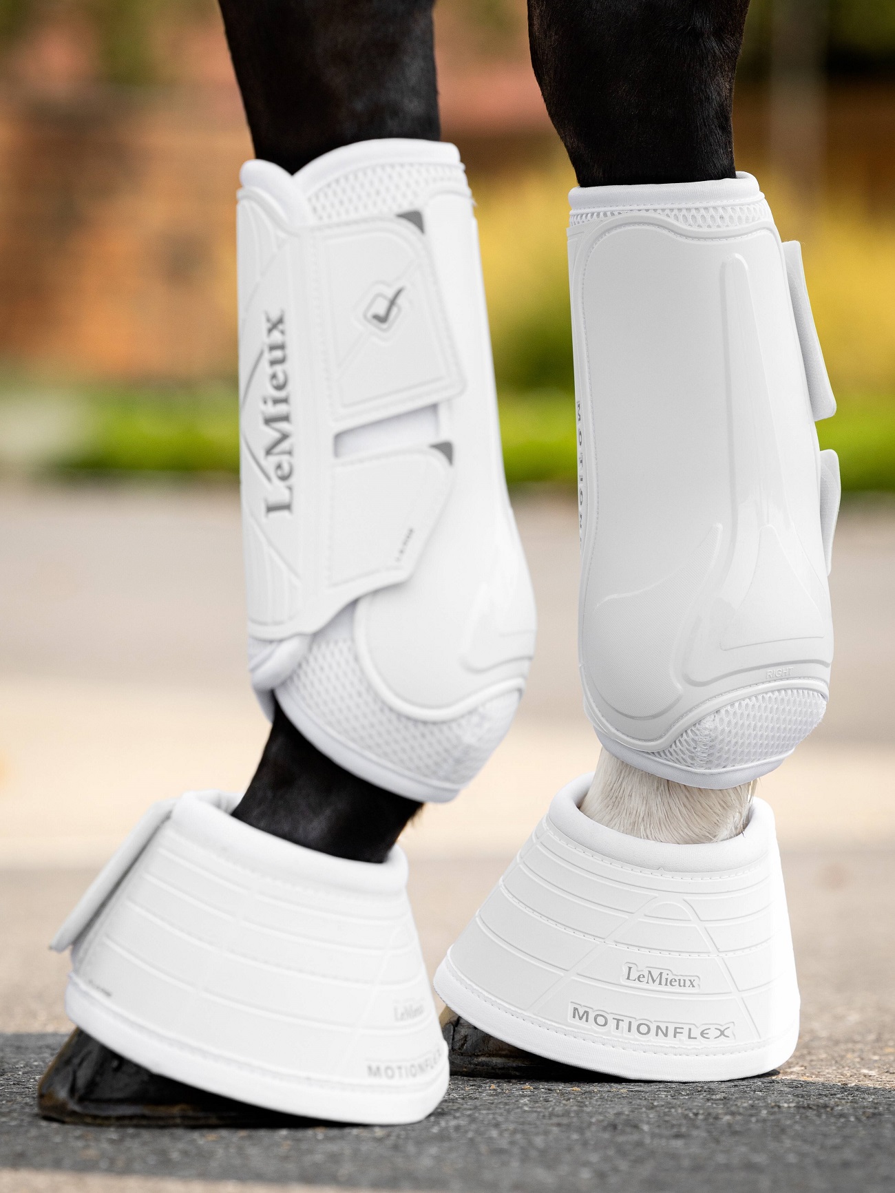 LeMieux Motionflex Over Reach Boot, Hufglocken