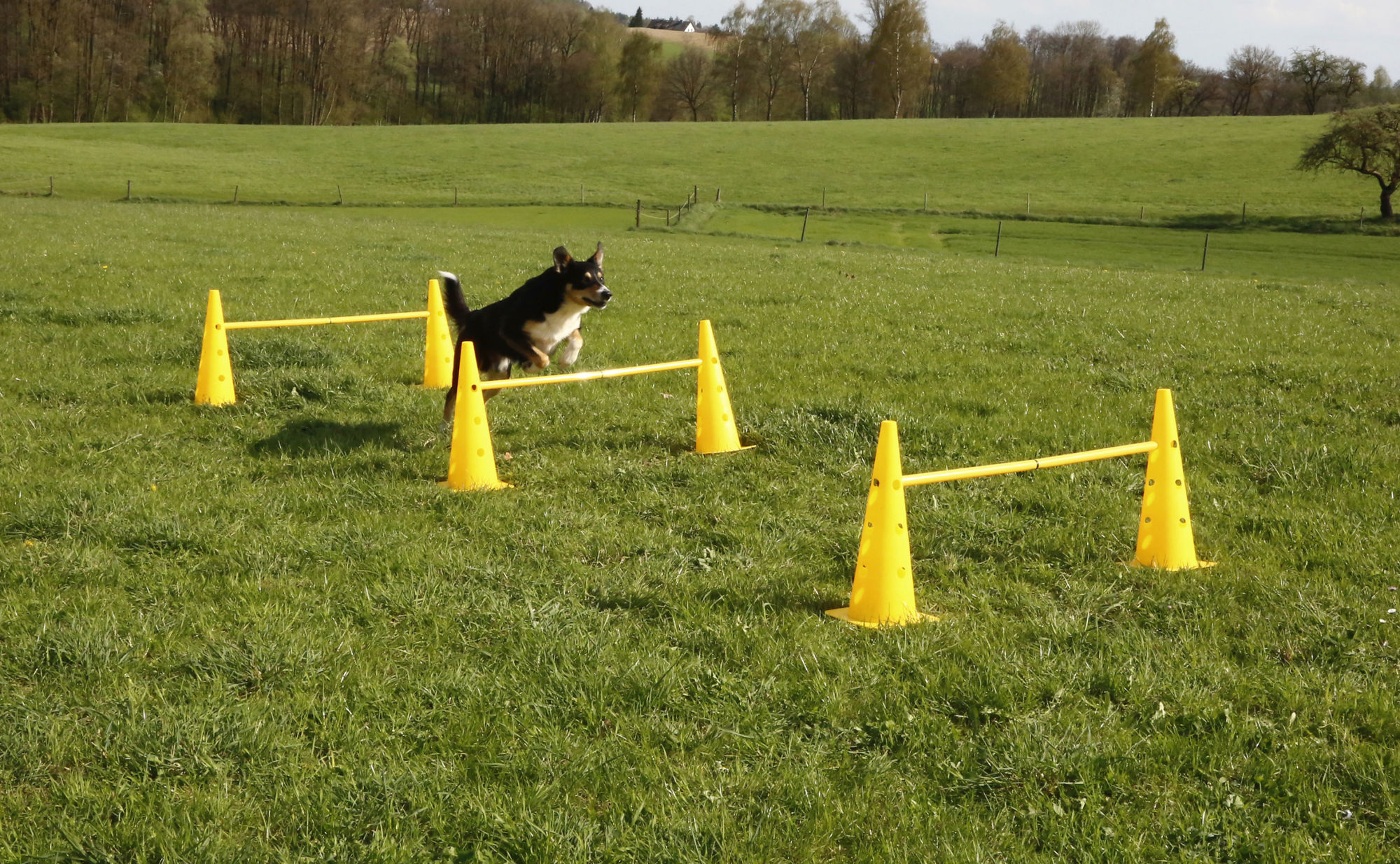 Kerbl Komplett-Set "Agility", rot/gelb