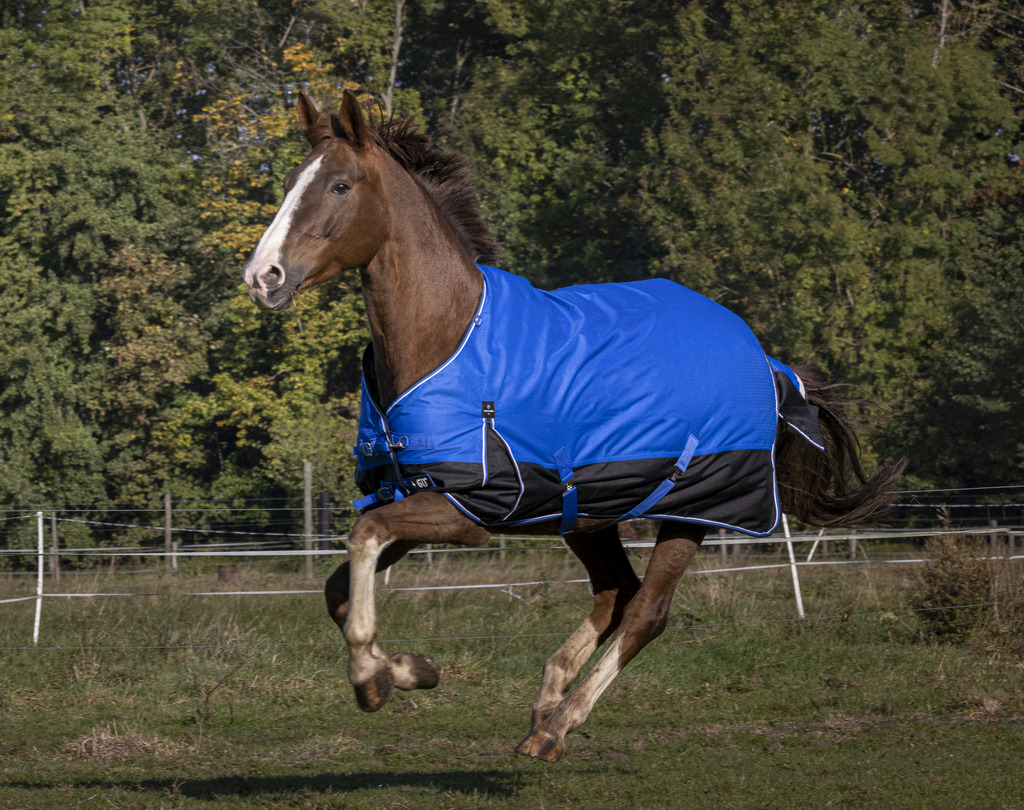 EQUITHÈME TYREX 1200D "Aisance" Decke, 50g Füllung, Pferdedecke, blau/schwarz, Weidedecke