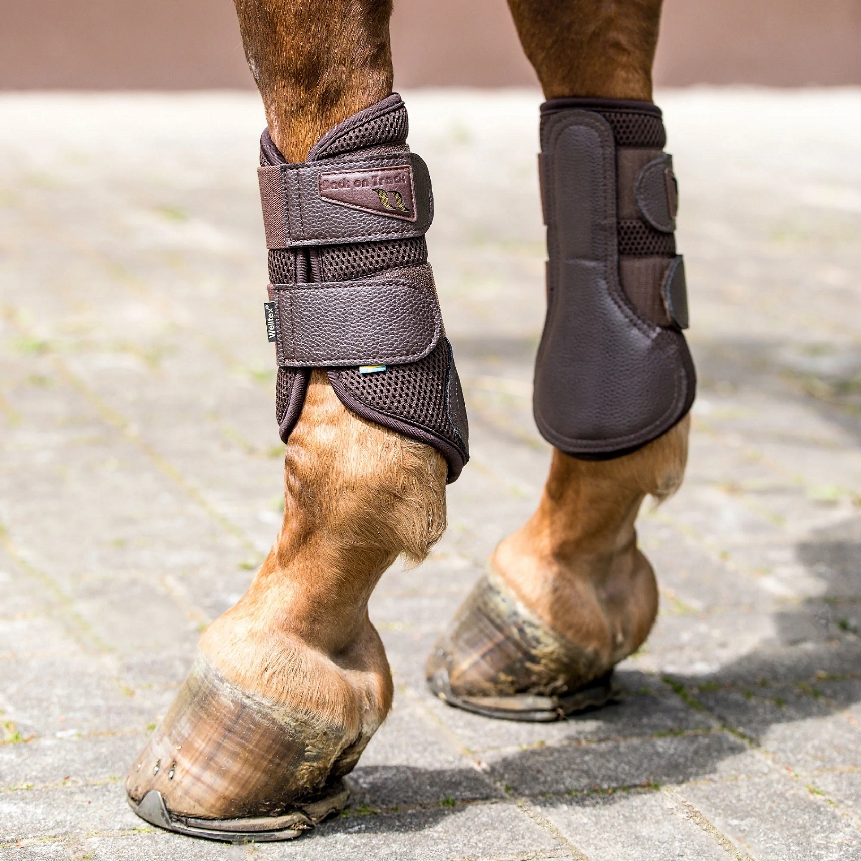 Back on Track Airflow Brush Boots, Gamaschen, braun