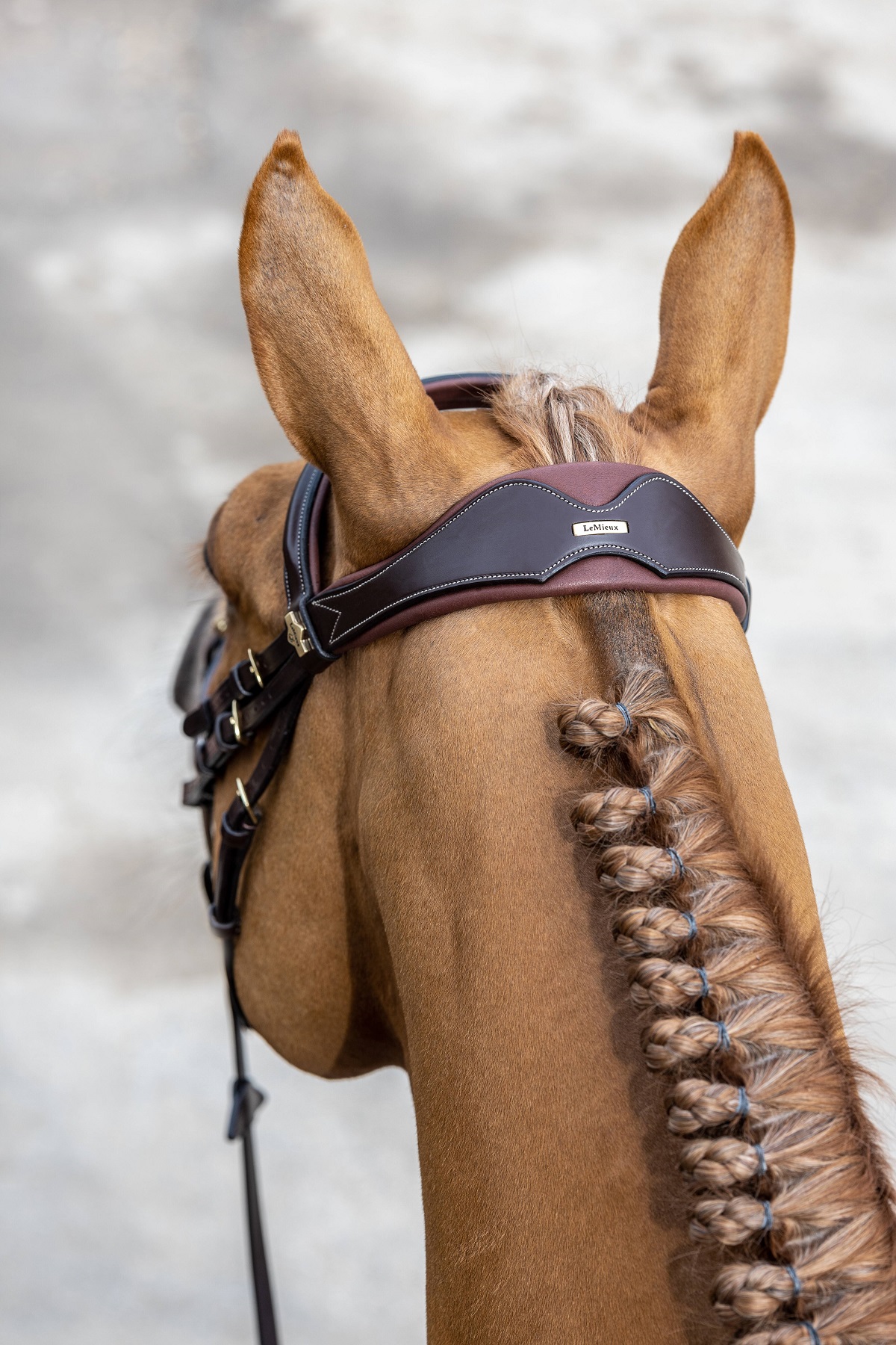 LeMieux Kudos Competition Flash Bridle, Turniertrense, Trense