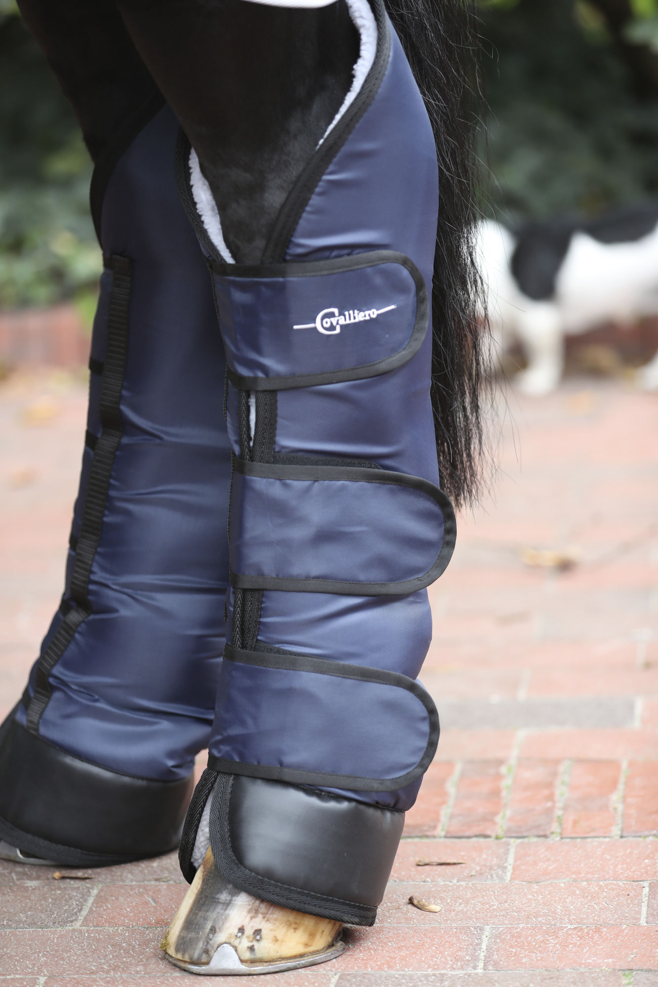 Covalliero Transportgamaschen Dexter, 4er-Set, dunkelblau