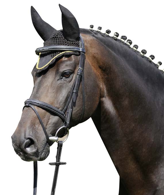 Fliegenhaube