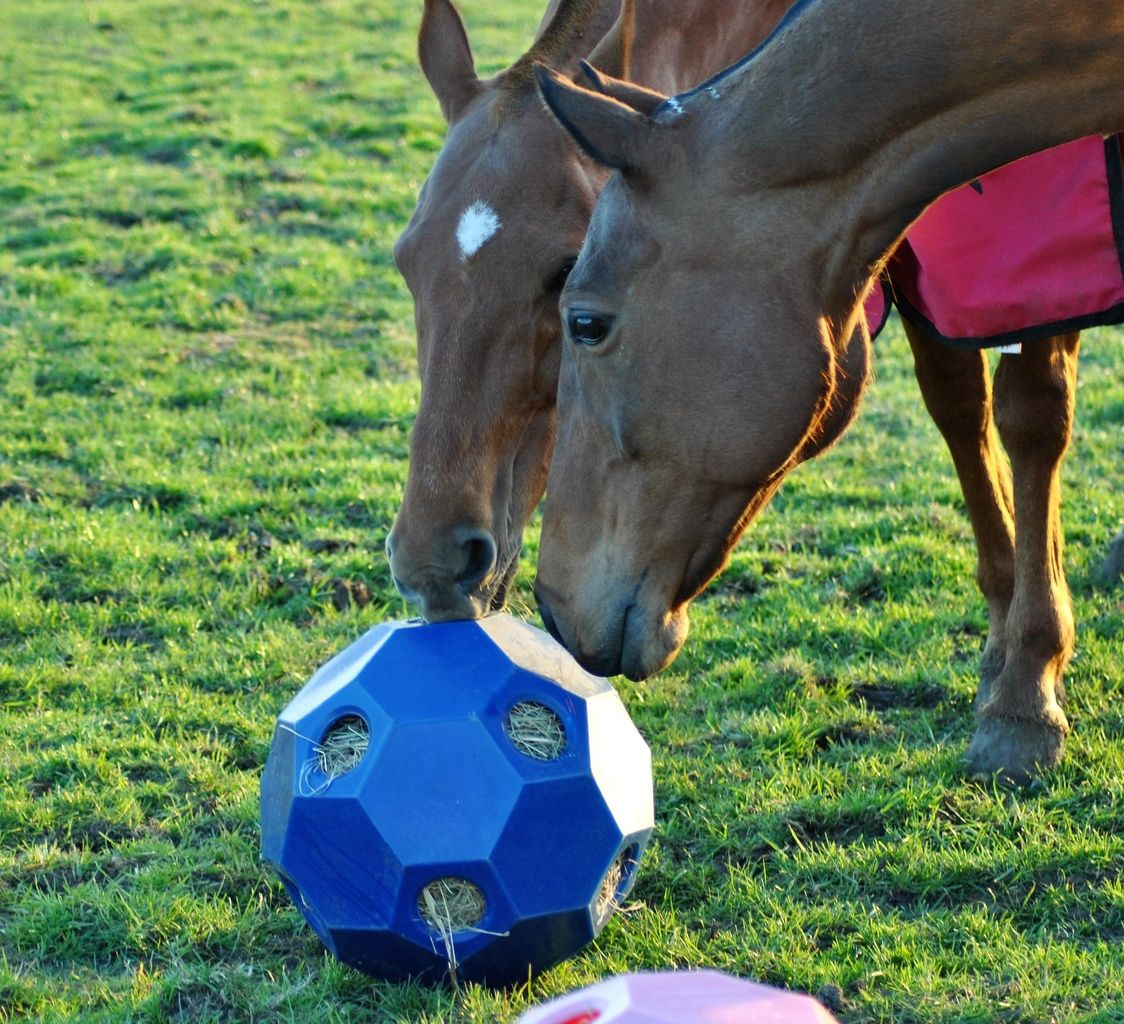 USG Spiel- und Fütterungsball "Happy Hay Play" gr. Löcher, 70 mm