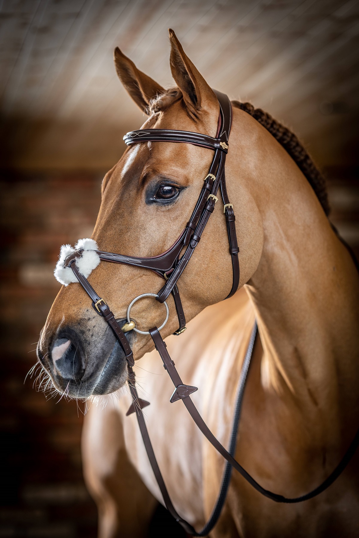 LeMieux Kudos Grackle Bridle, Arbeitstrense, Trense