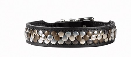 Hunter Halsband Arizona