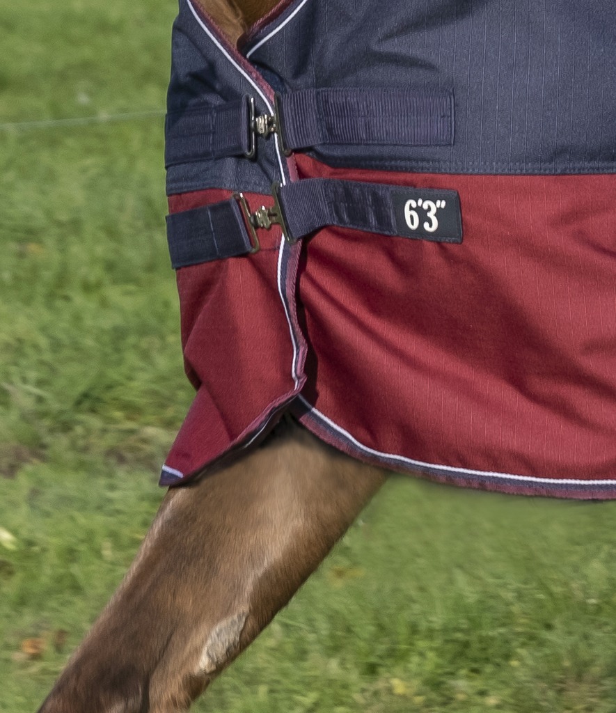 EQUITHÈME "TYREX 1200D" High-Neck Decke, 300g Füllung, marineblau/bordeaux, Weidedecke, Pferdedecke
