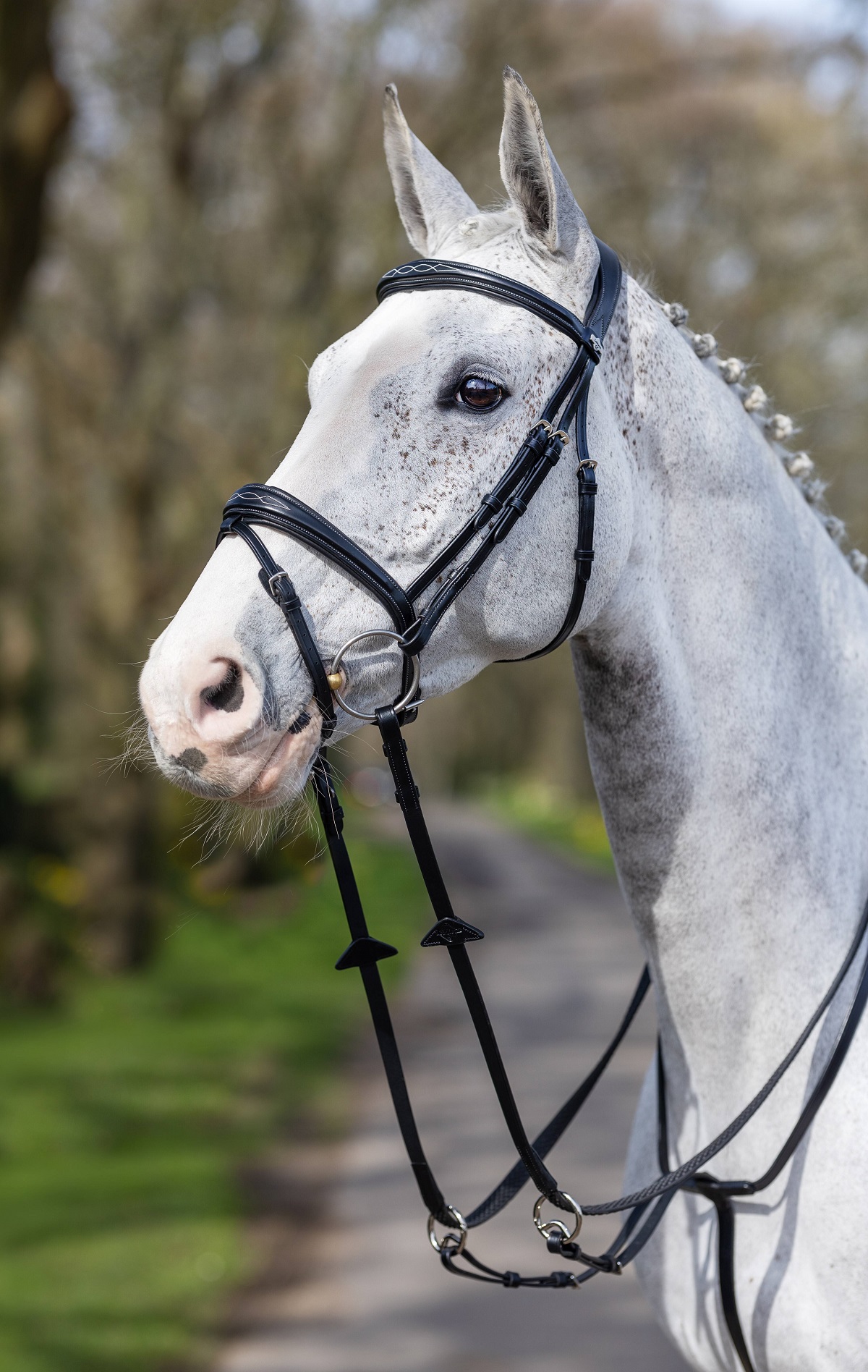 LeMieux Kudos Competition Flash Bridle, Turniertrense, Trense