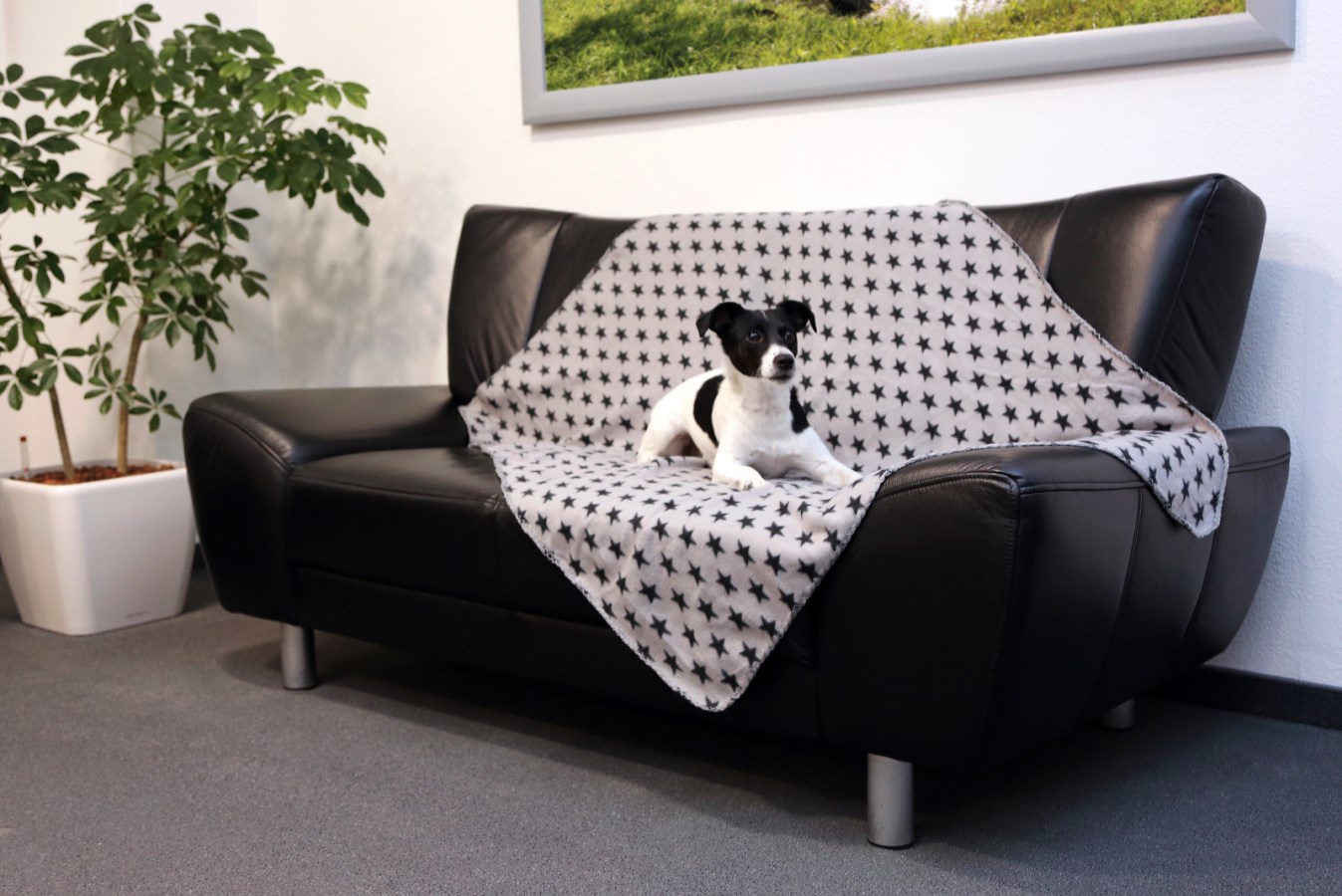 Kerbl Hundedecke "Stella",mit Sternenmotiv, grau