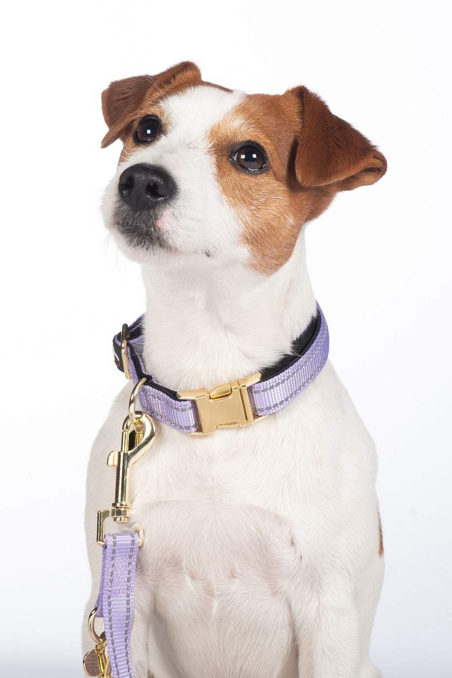 HKM Hundehalsband "Ida" Nylon,pistazie, S/M,Sale