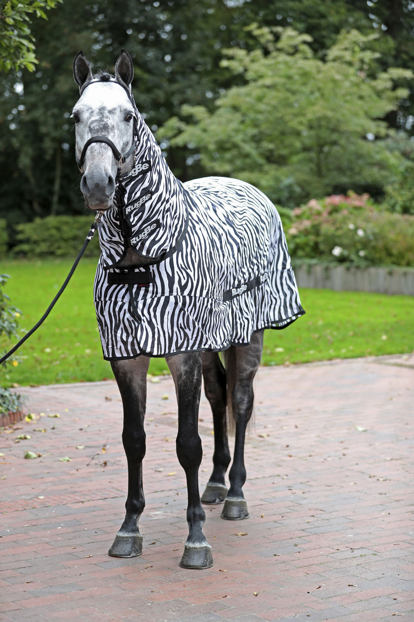 Covalliero Fliegendecke Zebra, weiß/schwarz, inkl. Halsteil