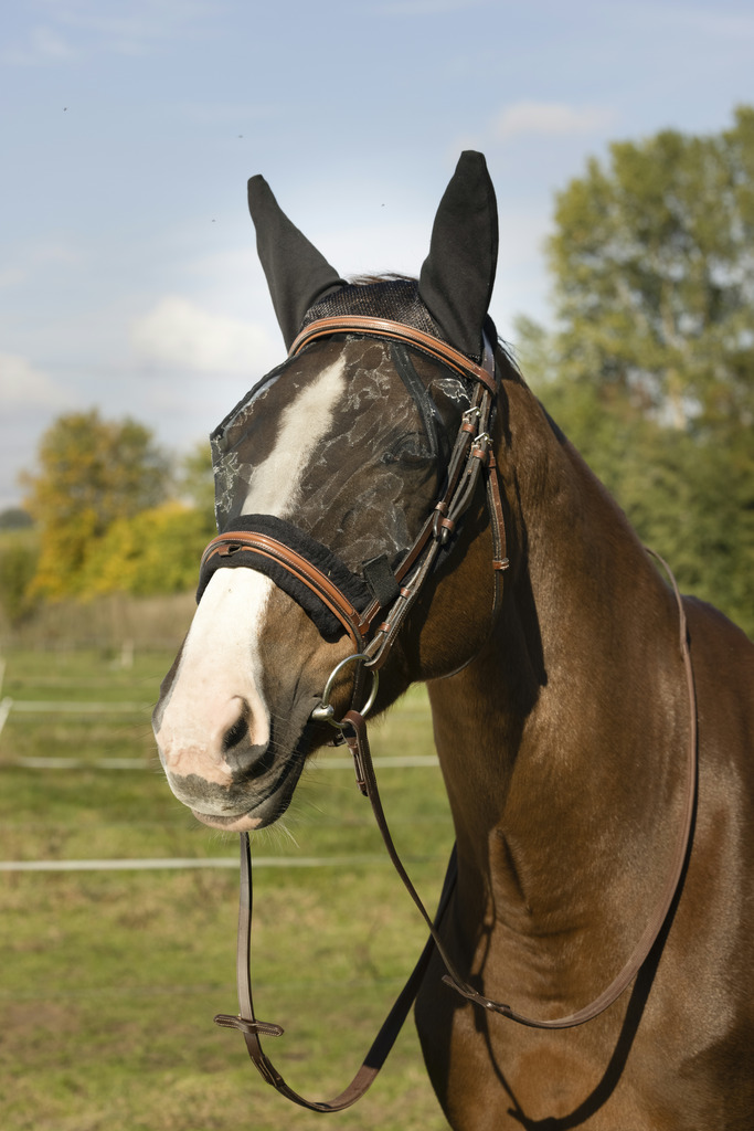 EQUITHÈME "Training" Antifliegenmaske, schwarz