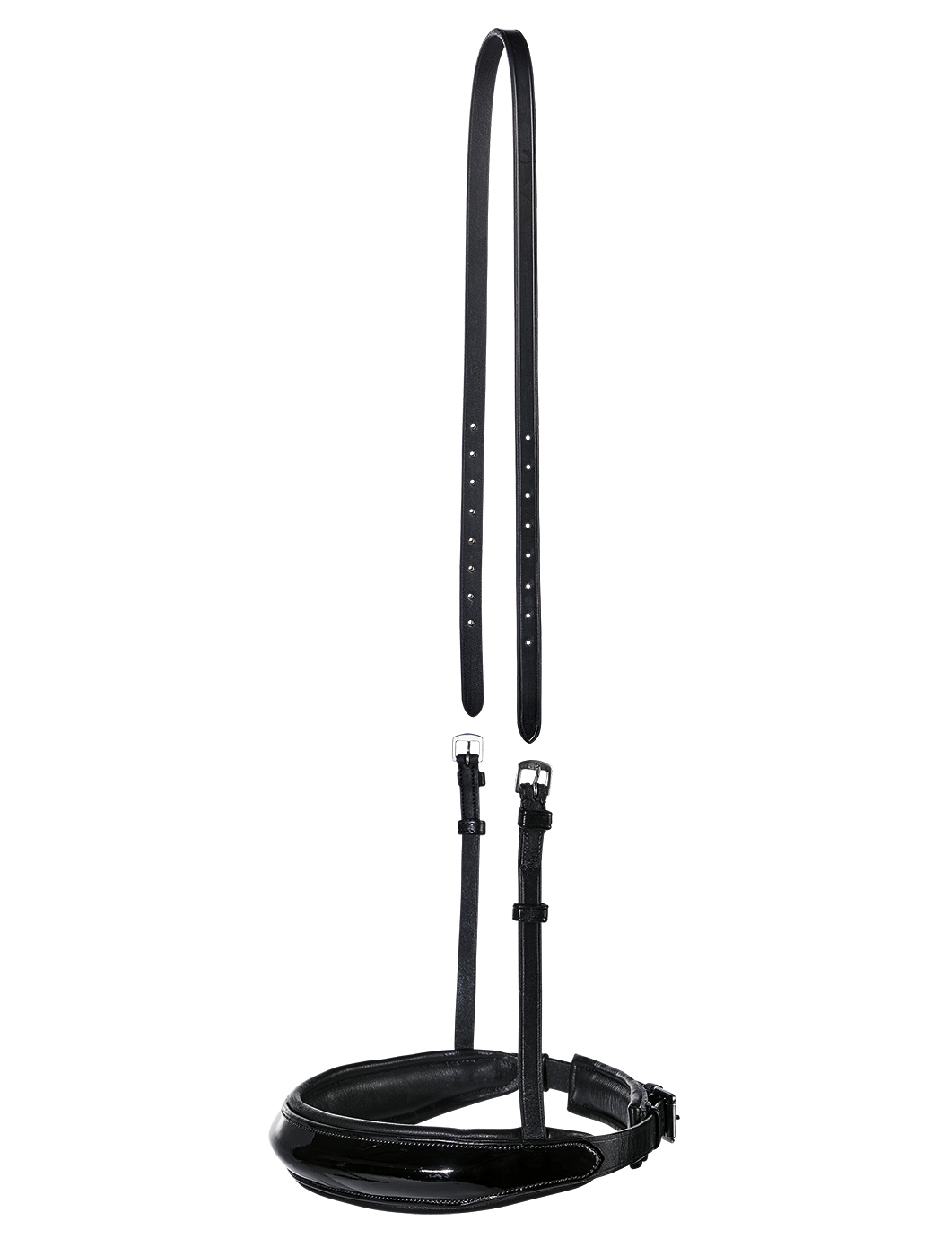 BUSSE Reithalfter Massa-Kandare