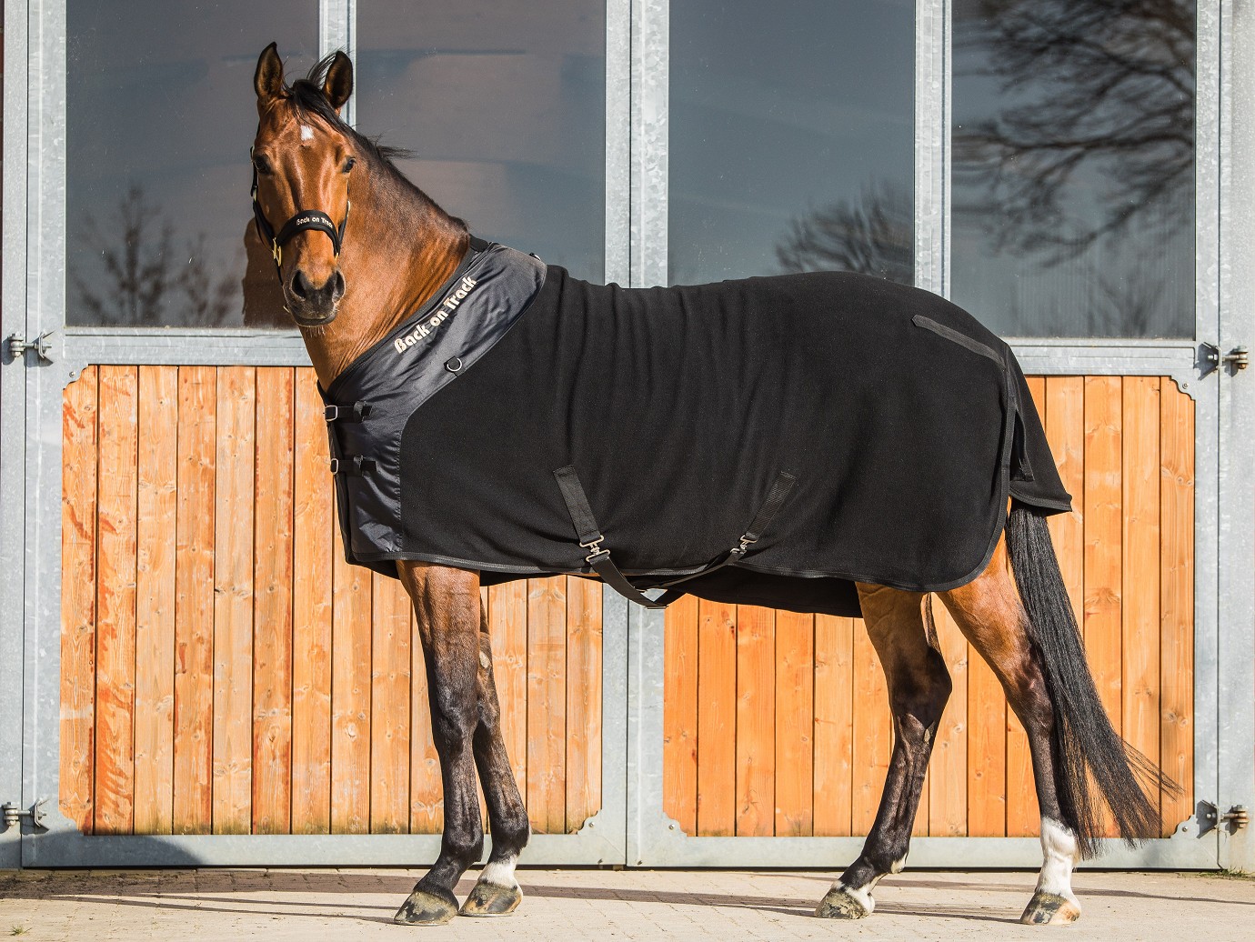 Back on Track Fleecedecke Supreme D-Ringen