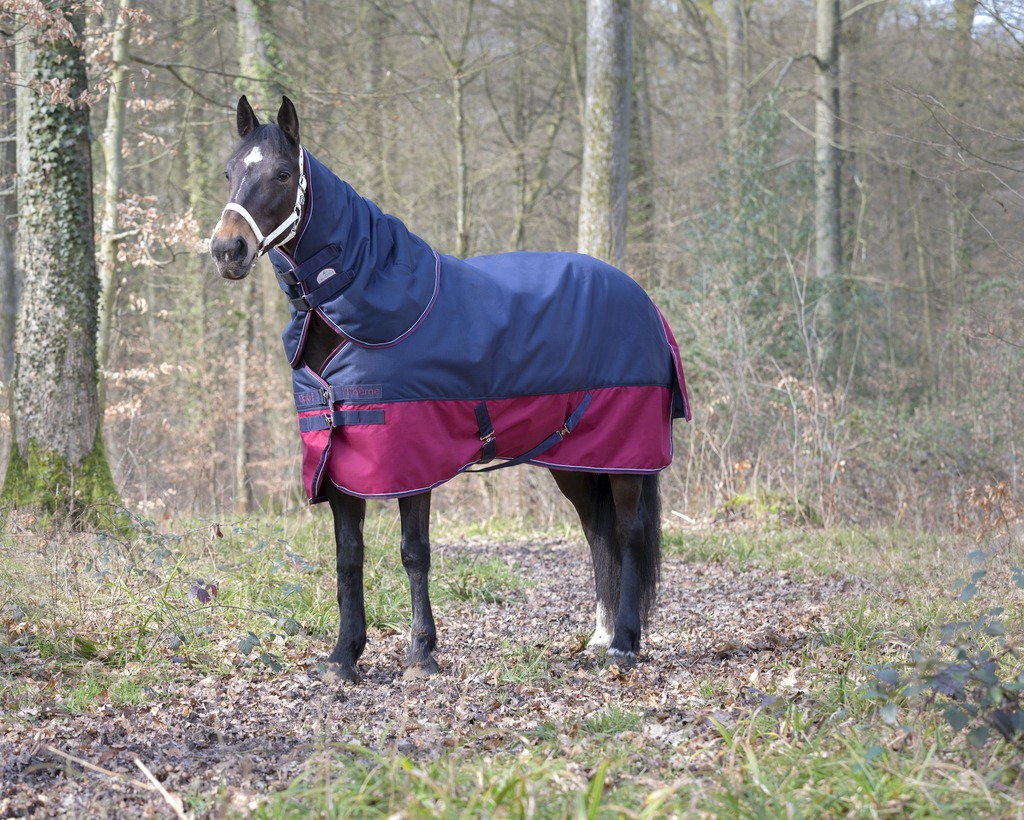 EQUITHÈME "TYREX 1200D" Halsteil, marineblau/bordeaux, 200g Füllung