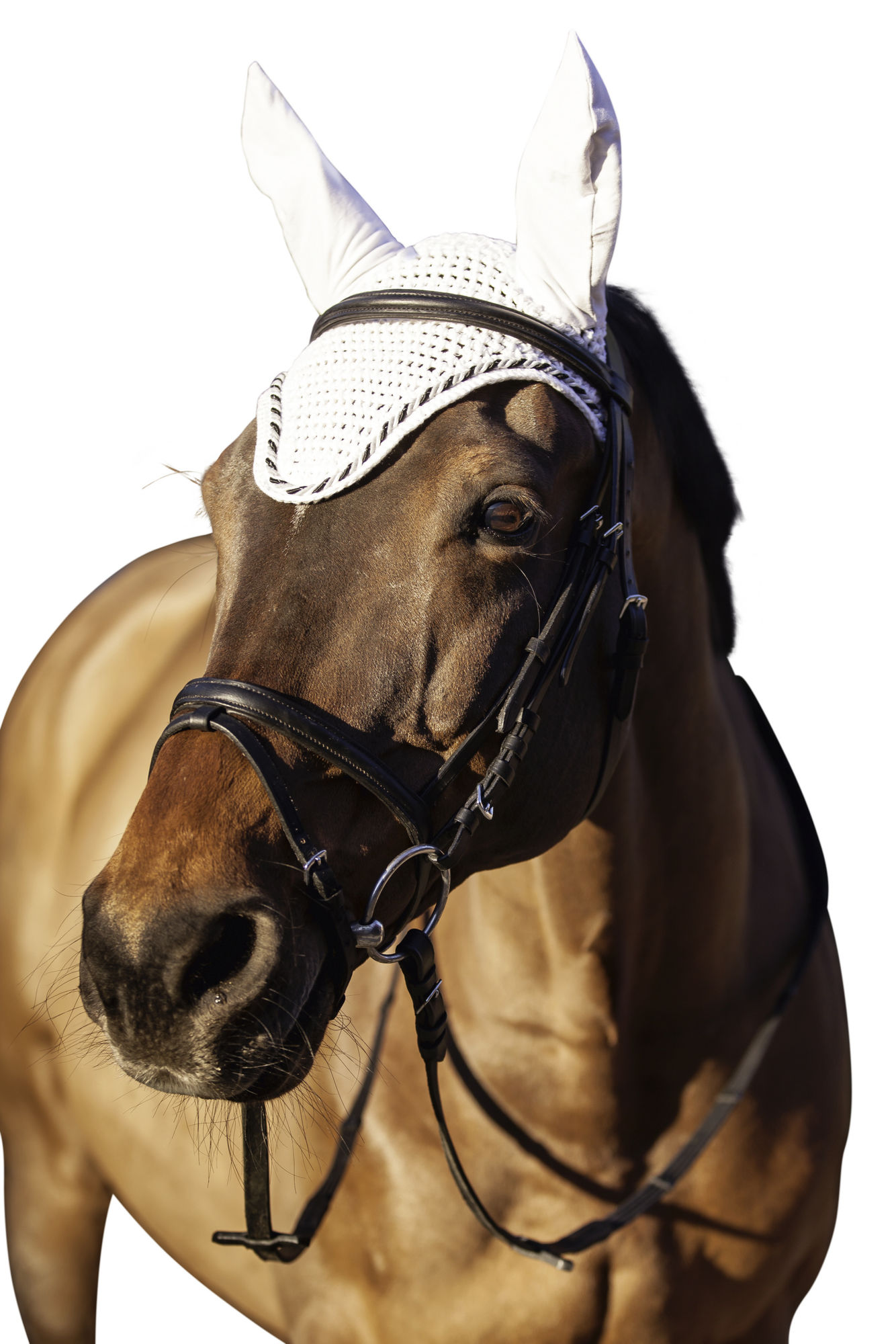 Covalliero Fliegenhaube Classic, Full