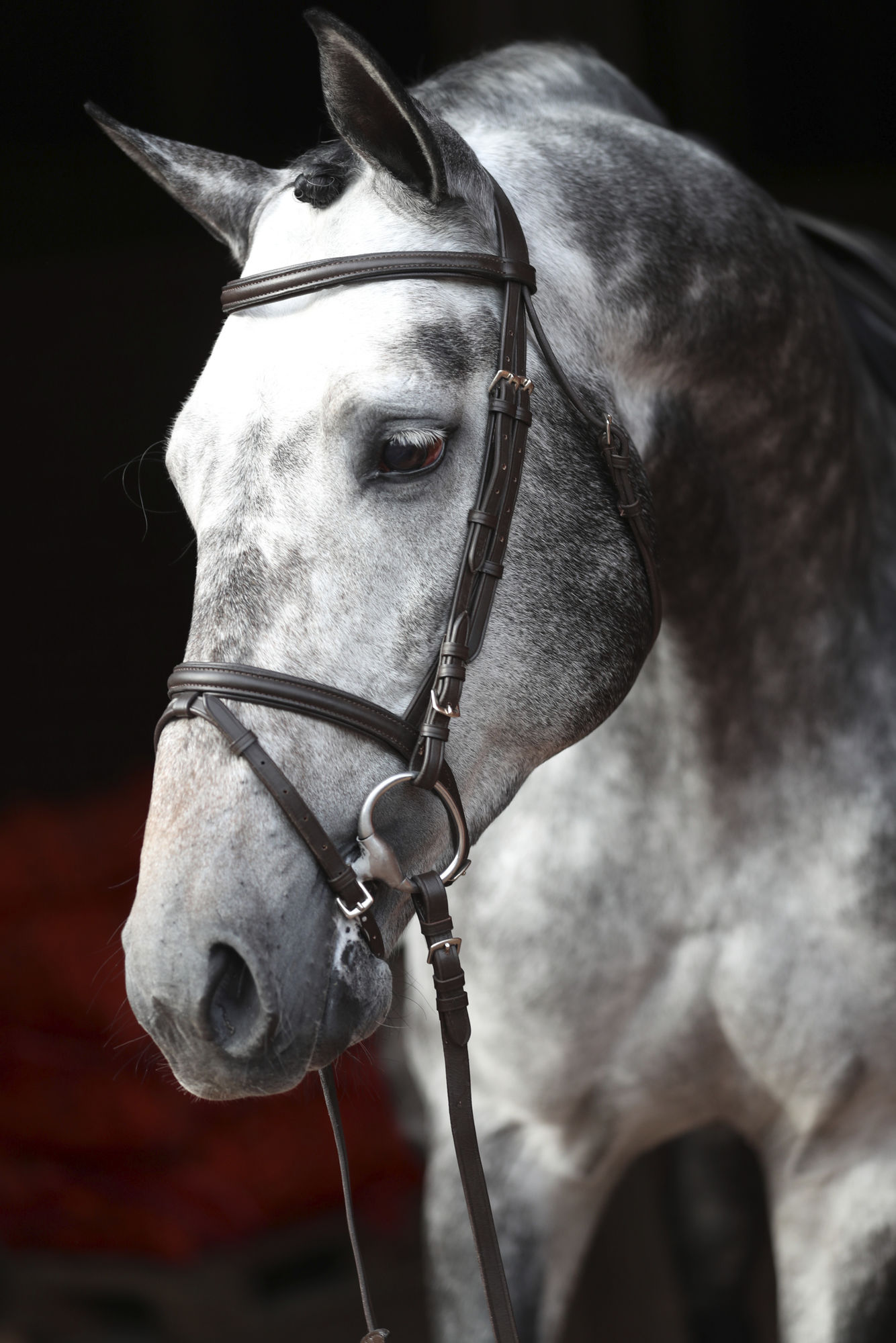 Covalliero Trensenzaum Standard, Leder, braun