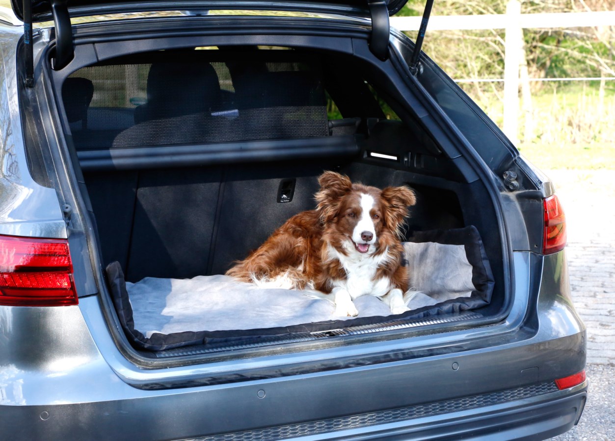 Kerbl Hundematte Trip ,grau/schwarz