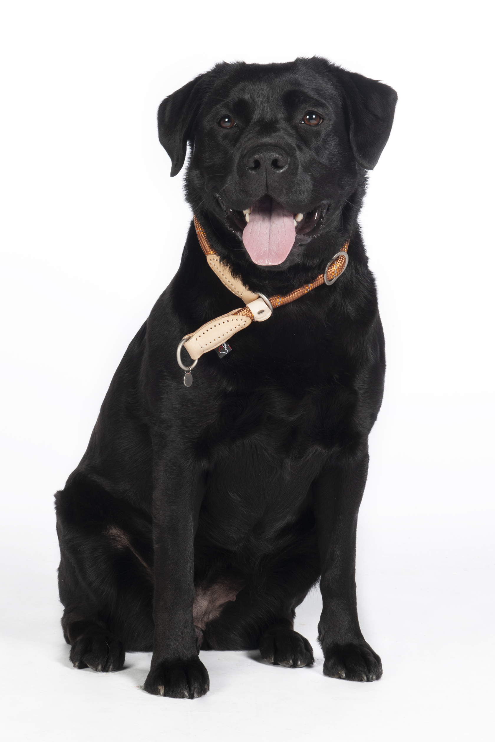 HKM Zugstopphundehalsband "Anam Cara" Tau