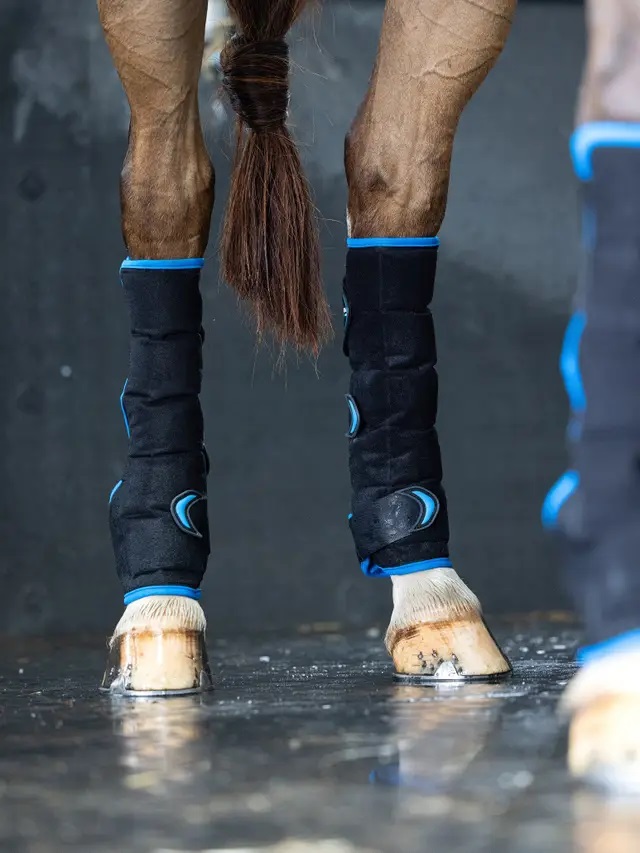LeMieux Freeze Flow Ice Boot, Hind, Kühlgamaschen, schwarz