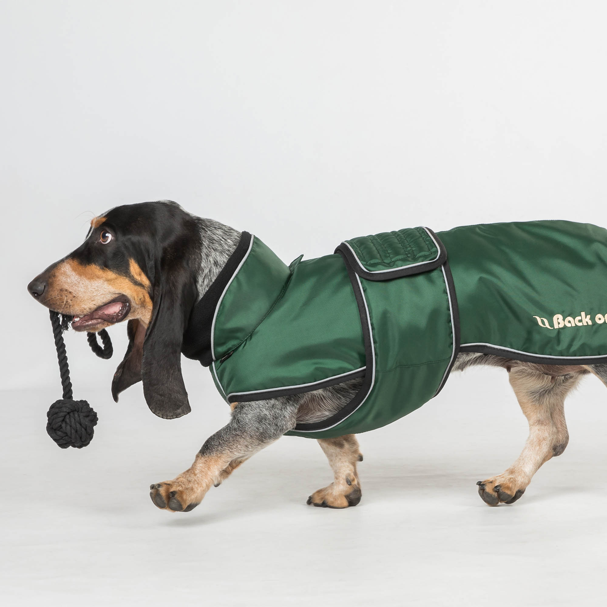 Back on Track Buddy Hundemantel