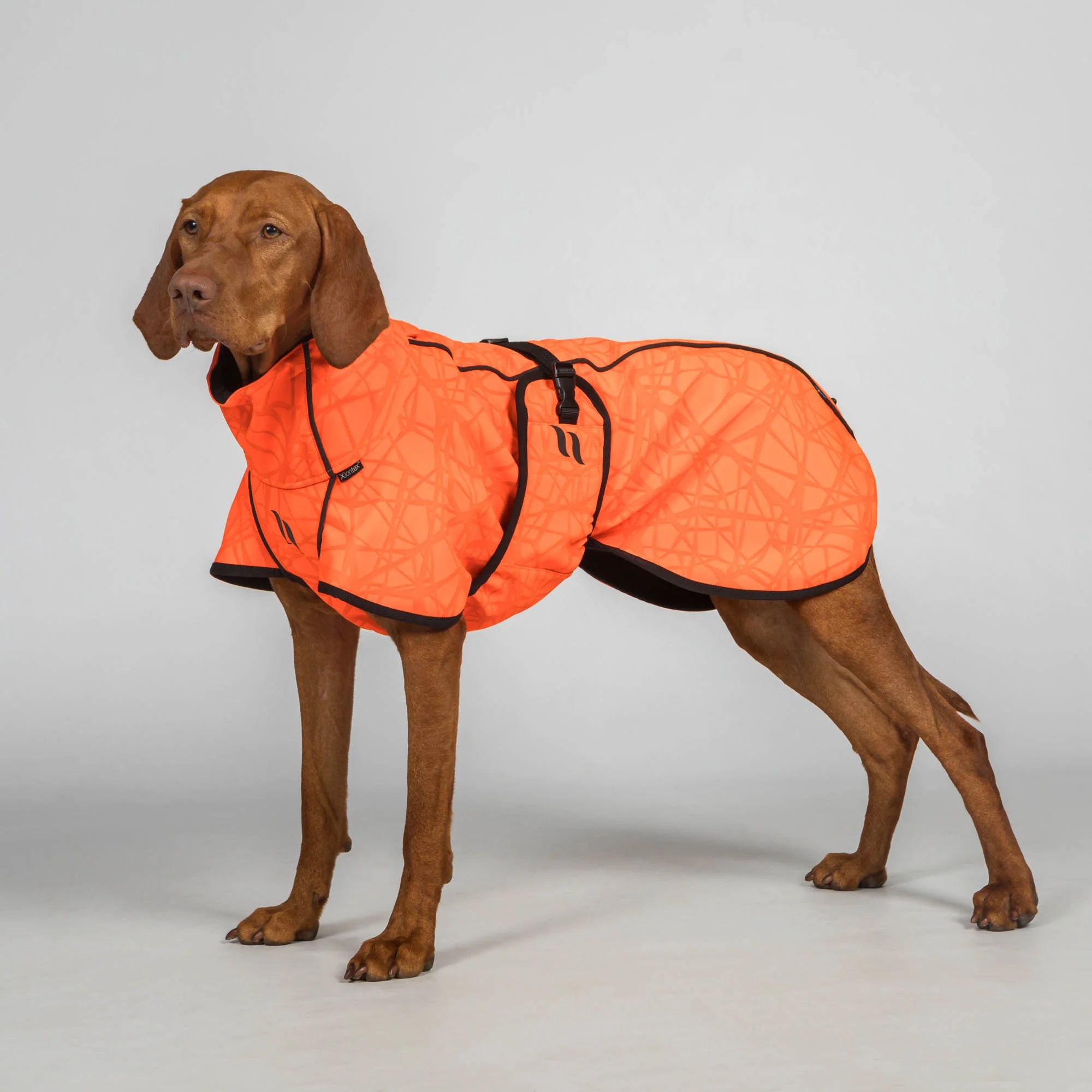 Back on Track Hundemantel Bark, orange, Allwetter Mantel