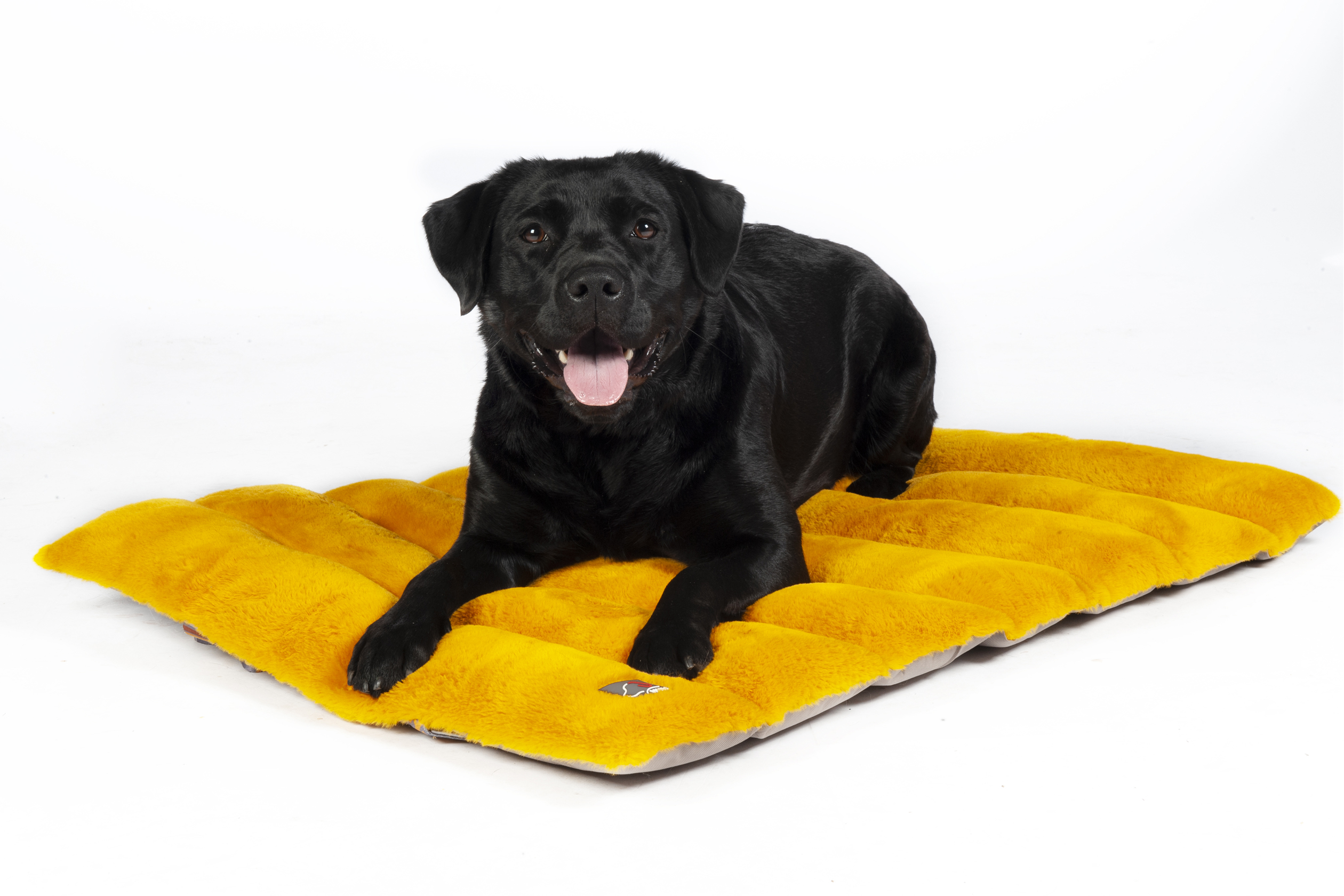 HKM Hundedecke "Anam Cara Travel"