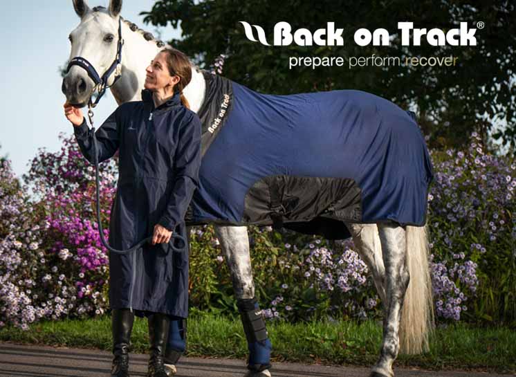 Back on Track Royal Netzdecke Deluxe, blau