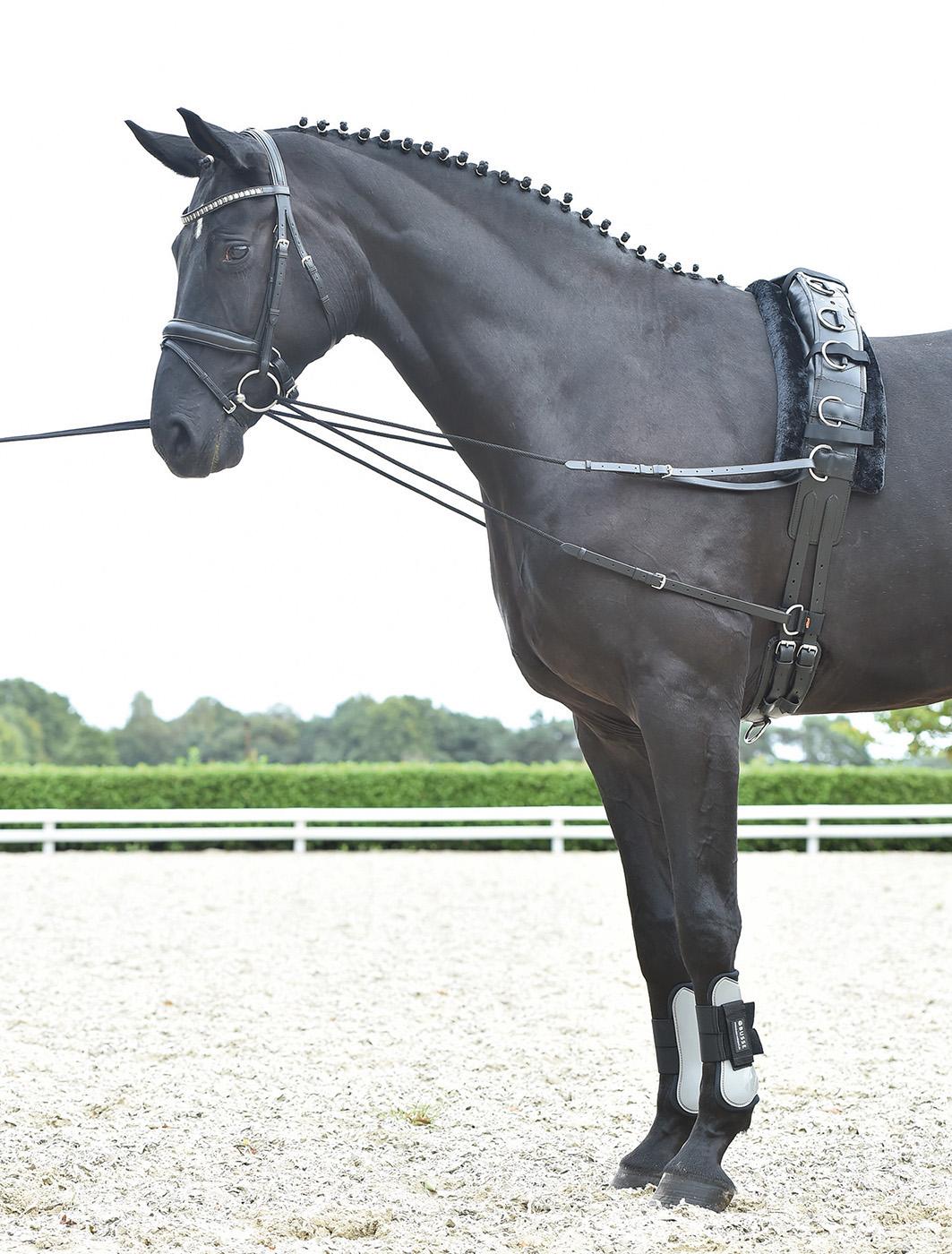 BUSSE Laufferzügel BASIC-KORDEL, schwarz, Vollblut/Warmblut